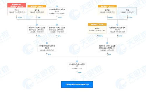 董子健全新布局 新设影视制作公司，深耕内容营销策划